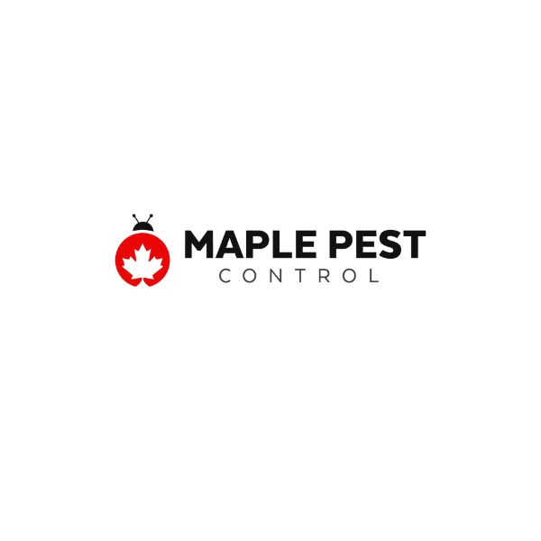 Best Pest Control In Vaughan | Call Now For Free Quote